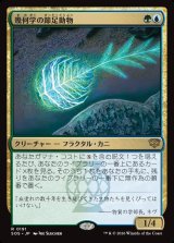 画像: 幾何学の節足動物/Geometer's Arthropod