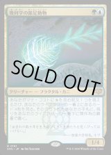 画像: 幾何学の節足動物/Geometer's Arthropod