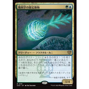 画像: 幾何学の節足動物/Geometer's Arthropod