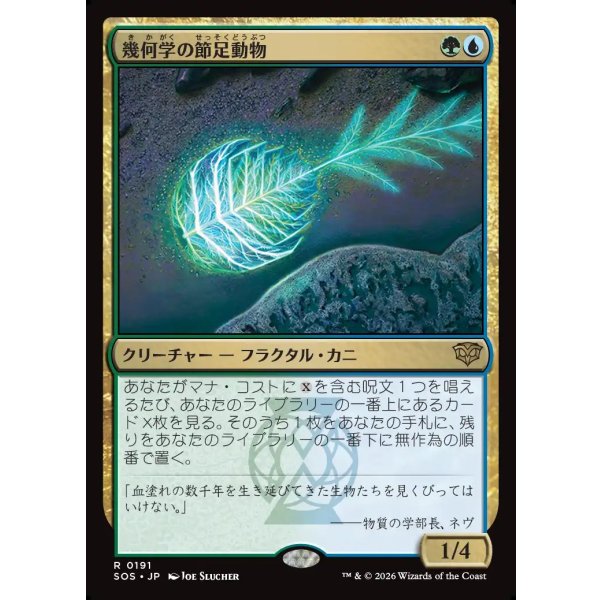 画像1: 幾何学の節足動物/Geometer's Arthropod (1)