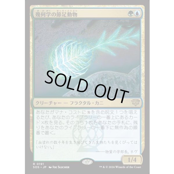 画像1: 幾何学の節足動物/Geometer's Arthropod (1)