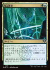 画像: 成長曲線/Growth Curve