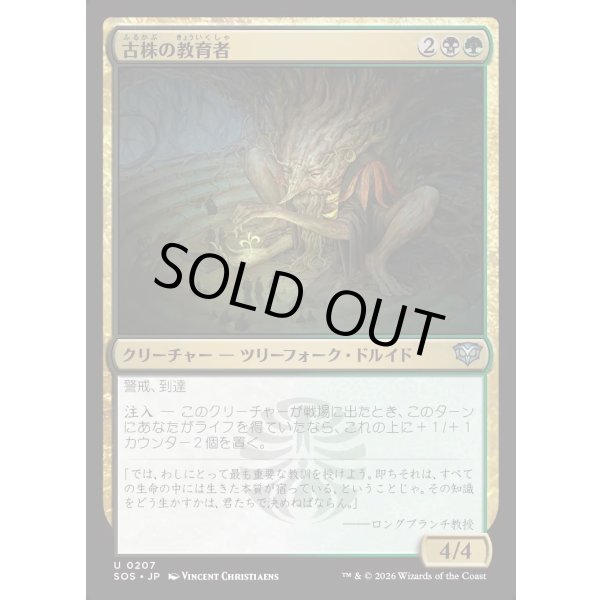 画像1: 古株の教育者/Old-Growth Educator (1)