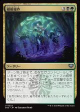 画像: 樹根操作/Root Manipulation