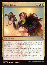 画像: 暑さに萎れる/Wilt in the Heat