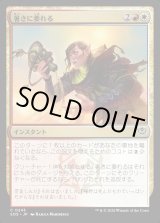 画像: 暑さに萎れる/Wilt in the Heat