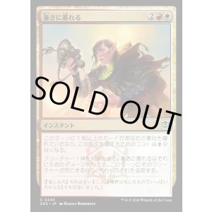 画像: 暑さに萎れる/Wilt in the Heat