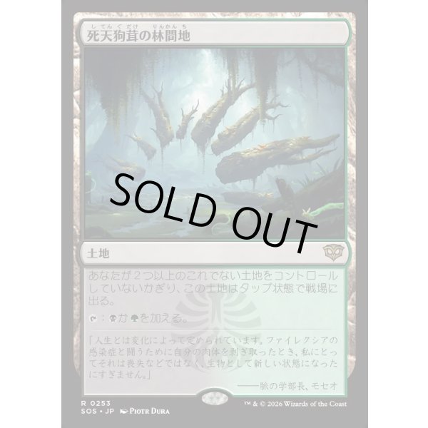 画像1: 死天狗茸の林間地/Deathcap Glade (1)