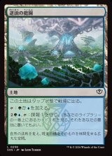 画像: 逆説の庭園/Paradox Gardens