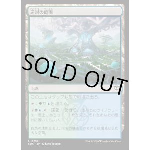 画像: 逆説の庭園/Paradox Gardens