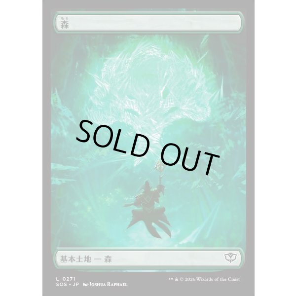 画像1: 森/Forest (1)