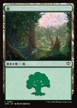 画像: 森/Forest