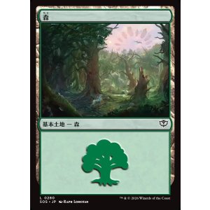 画像: 森/Forest