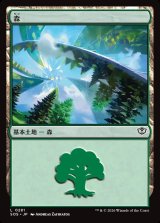 画像: 森/Forest