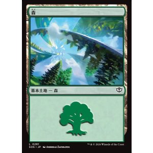 画像: 森/Forest