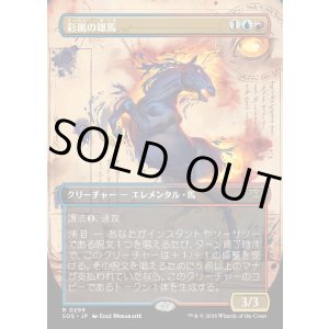 画像: 彩嵐の雄馬/Colorstorm Stallion