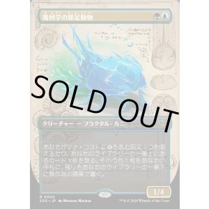 画像: 幾何学の節足動物/Geometer's Arthropod