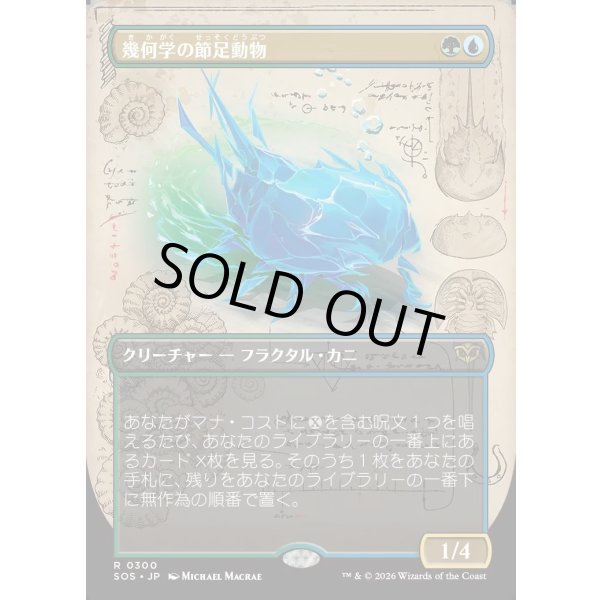 画像1: 幾何学の節足動物/Geometer's Arthropod (1)