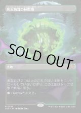 画像: 死天狗茸の林間地/Deathcap Glade