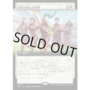 画像: 練習を積んだ攻撃/Practiced Offense