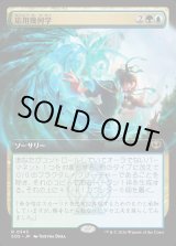 画像: 応用幾何学/Applied Geometry