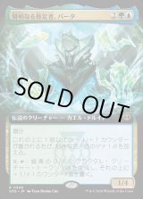 画像: 賢明なる推定者、バータ/Berta, Wise Extrapolator