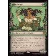 画像1: 楽園のドルイド/Paradise Druid (1)