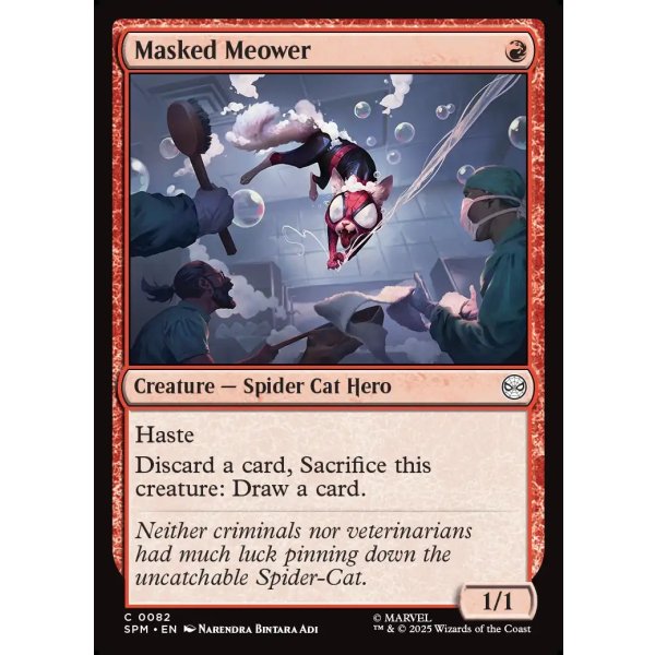 画像2: マスクド・ミャオ/Masked Meower (2)