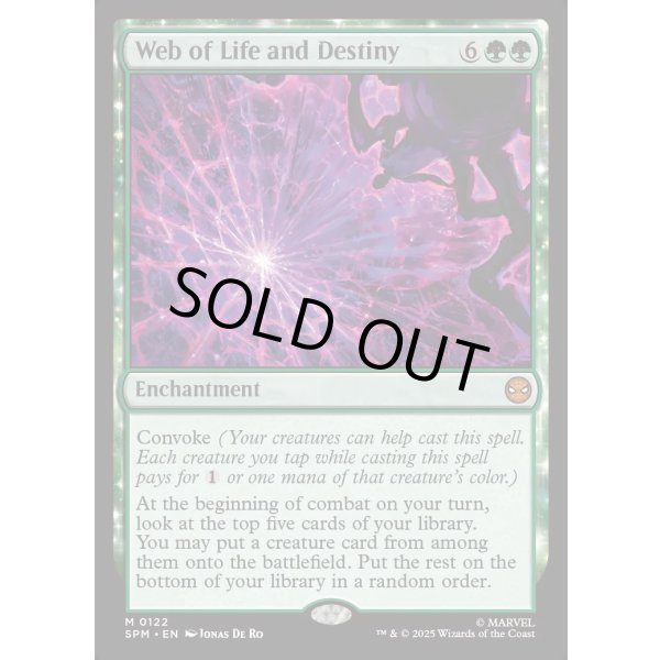 画像2: 生命と運命のウェブ/Web of Life and Destiny (2)