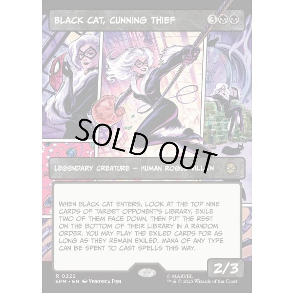画像2: 狡猾な怪盗、ブラックキャット/Black Cat, Cunning Thief (2)