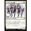 画像1: ワイルド・パック部隊/Wild Pack Squad (1)