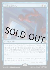 画像: 天井に隠れろ/Hide on the Ceiling