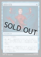 画像: 秘密の正体/Secret Identity