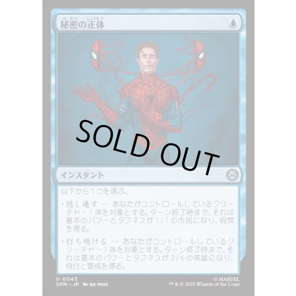 画像1: 秘密の正体/Secret Identity (1)