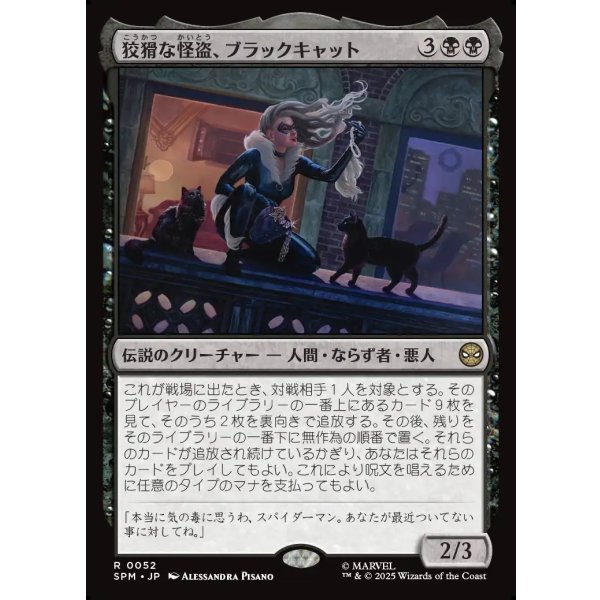 画像1: 狡猾な怪盗、ブラックキャット/Black Cat, Cunning Thief (1)