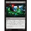 画像1: 危うい研究/Risky Research (1)