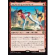 画像1: スピナレットとスパイダリング/Spinneret and Spiderling (1)