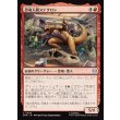 画像1: 恐竜人間ステグロン/Stegron the Dinosaur Man (1)