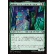 画像1: 蜘蛛のトーテム、エゼキエル・シムズ/Ezekiel Sims, Spider-Totem (1)