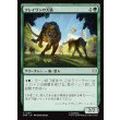 画像1: クレイヴンの大猫/Kraven's Cats (1)