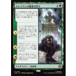 画像1: クレイヴンの最後の狩り/Kraven's Last Hunt (1)