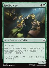 画像: 隠れ潜むトカゲ/Lurking Lizards