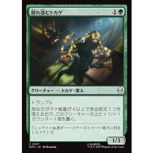 画像: 隠れ潜むトカゲ/Lurking Lizards