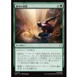 画像1: 都市の偵察/Scout the City (1)