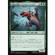 画像1: 果敢な恐竜、スパイダーレックス/Spider-Rex, Daring Dino (1)