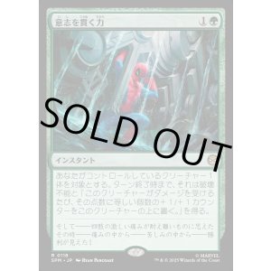 画像: 意志を貫く力/Strength of Will