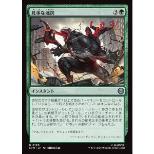 画像: 見事な連携/Terrific Team-Up