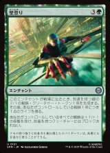 画像: 壁登り/Wall Crawl