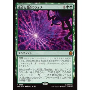 画像: 生命と運命のウェブ/Web of Life and Destiny