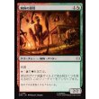 画像1: 蜘蛛の顕現/Spider Manifestation (1)